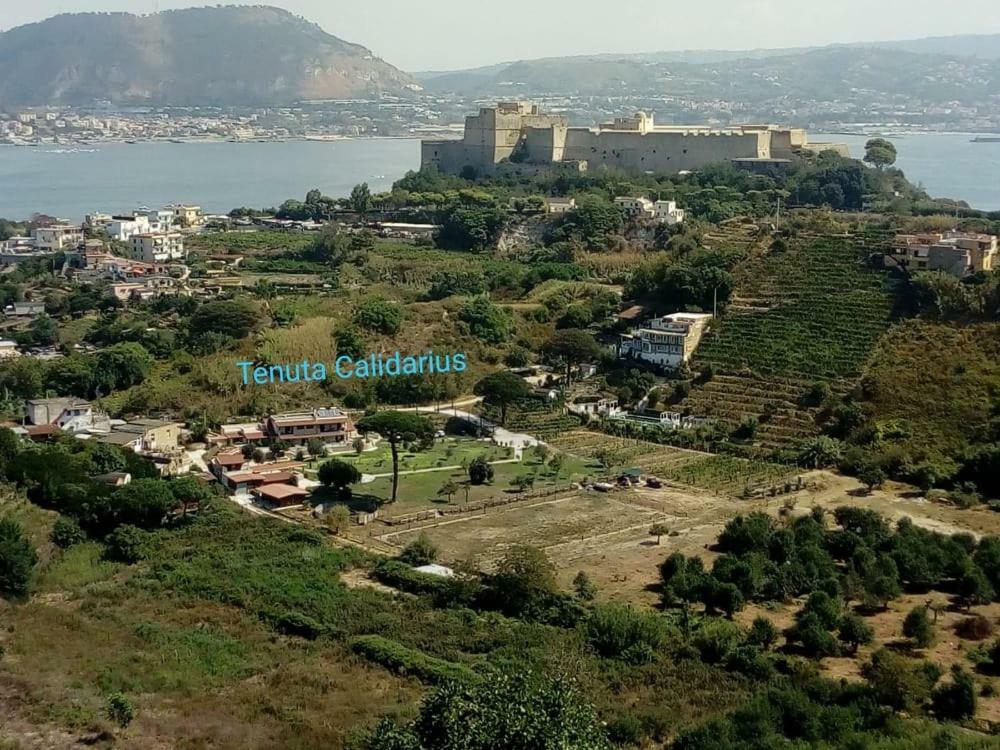 Tenuta Calidarius Байи Экстерьер фото